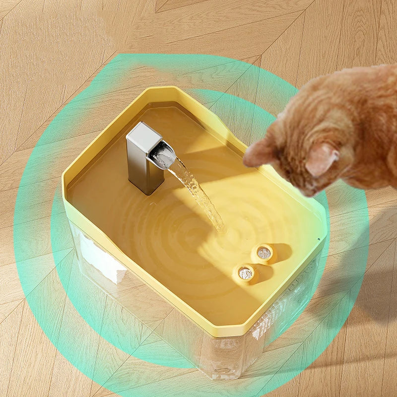 New transparent pet water dispenser plug-in automatic water drinker circulating and flowing out water smoothly pet water drinker