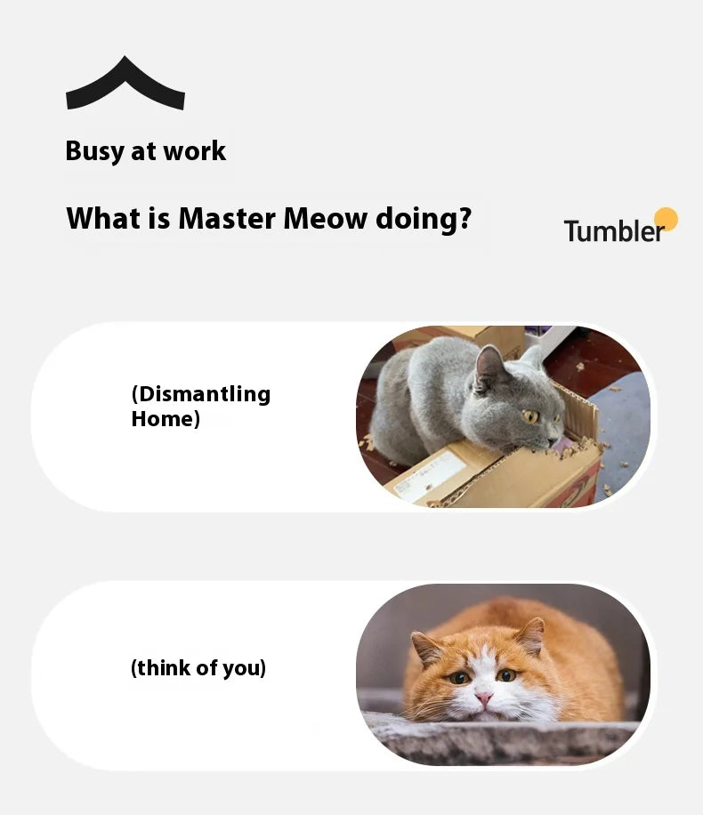 New Electric Cat Ball Toys Automatic Rolling Ball With Teaser Bird Cat Toys Pet Interactive Smart Sensor Rechargeable Cat Toys