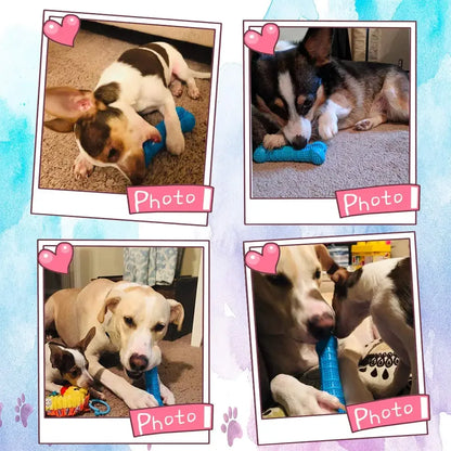 1PC Pet Chew Toy Soft Rubber Dog Toothbrushes