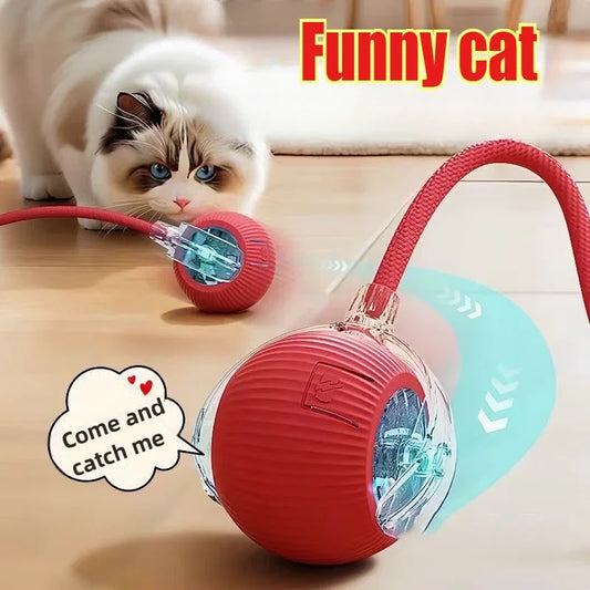 Automatic Rolling Pet Ball Self RollingBall Pet Supplies
